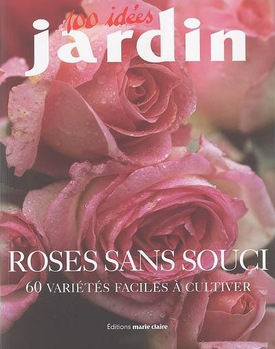 Roses sans souci : 60 variétés faciles à cultiver