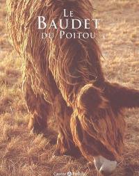 Le baudet du Poitou