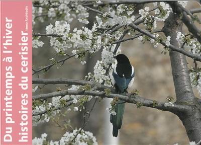 Du printemps à l'hiver : histoires du cerisier