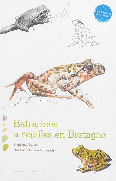 Batraciens et reptiles en Bretagne