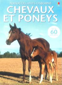 Chevaux et poneys : plus de 60 autocollants