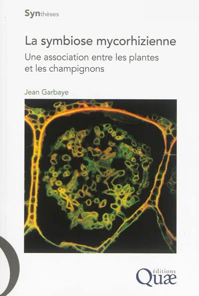 La symbiose mycorhizienne : une association entre les plantes et les champignons