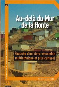 Au-delà du mur de la honte : migration interne au Pérou, ébauche d'un vivre ensemble multiethnique et pluriculturel dans les marges de Lima