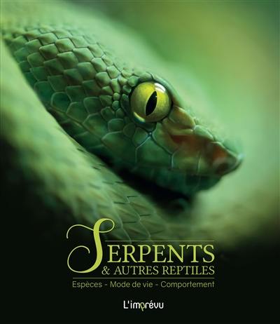 Serpents & autres reptiles : espèces, mode de vie, comportement