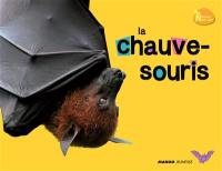 La chauve-souris