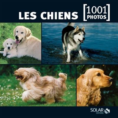 Les chiens