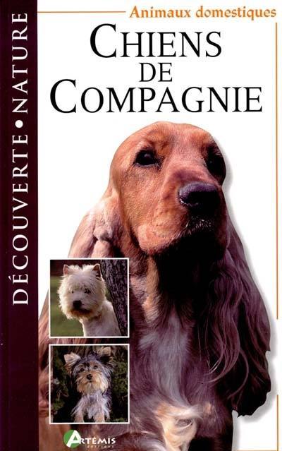 Chiens de compagnie