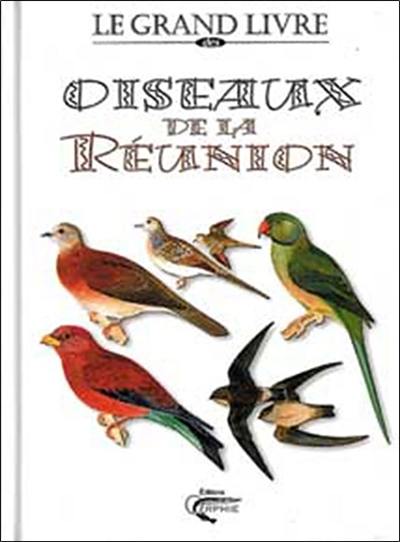 Oiseaux de la Réunion