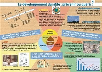 Développement durable : prévenir ou guérir ?