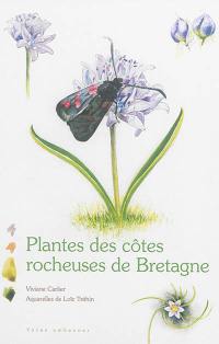 Plantes des côtes rocheuses de Bretagne