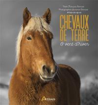 Chevaux de terre & vent d'hiver