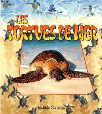 Les tortues de mer