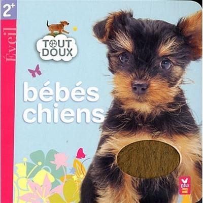 Bébés chiens