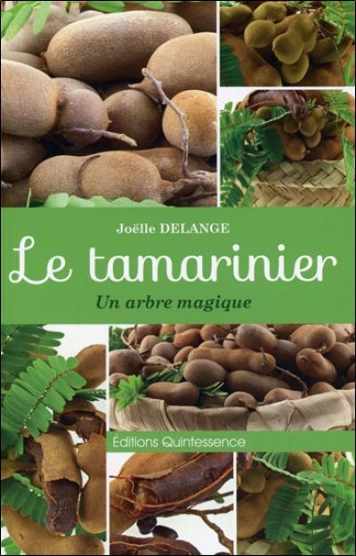 Le tamarinier : un arbre magique