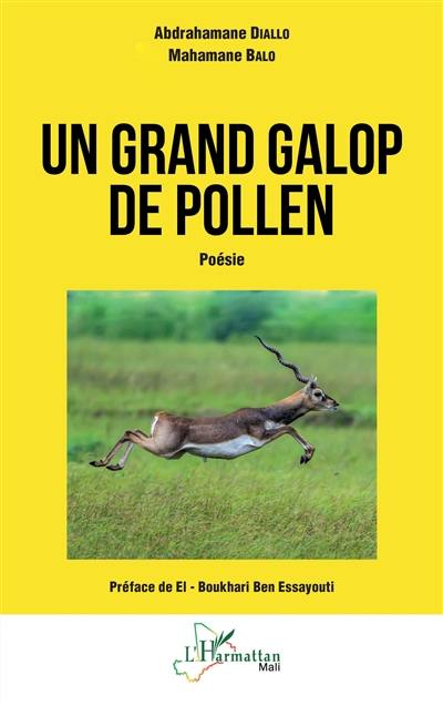 Un grand galop de pollen