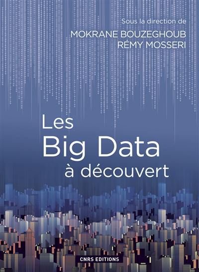 Les big data à découvert : le traitement des données numériques