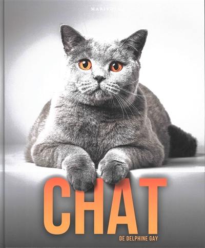 Chat