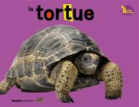 La tortue