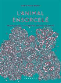 L'animal ensorcelé : traumatismes, littérature, transitionnalité