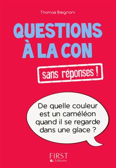 Questions à la con sans réponses !