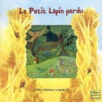 Le petit lapin perdu