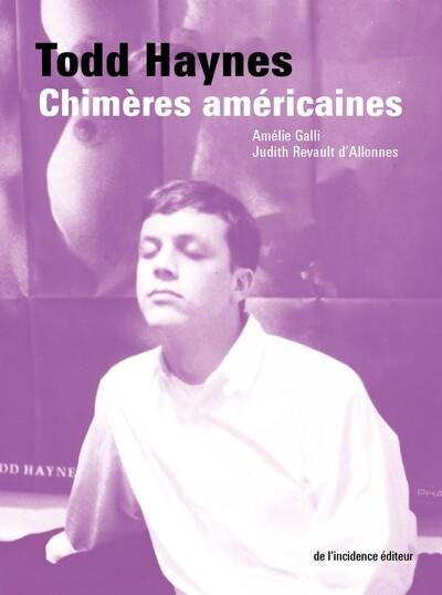 Todd Haynes : chimères américaines