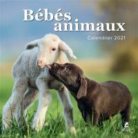 Bébés animaux : calendrier 2021