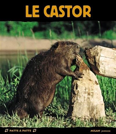 Le castor