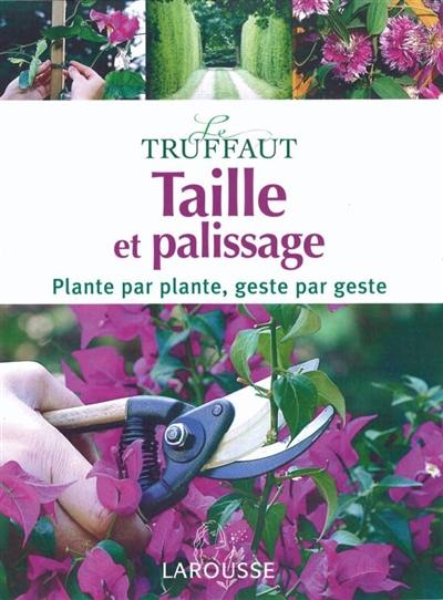 Taille et palissage : plante par plante, geste par geste