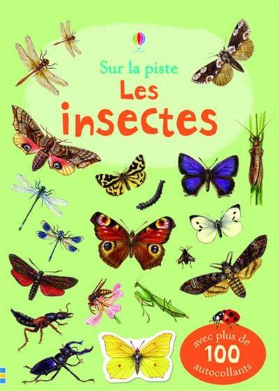 Les insectes