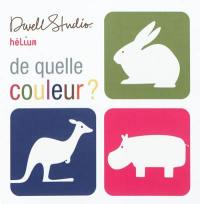 De quelle couleur ? : un livre à déplier