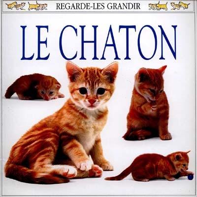 Le chaton