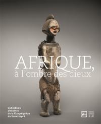 Afrique, à l'ombre des dieux : collections africaines de la Congrégation du Saint-Esprit