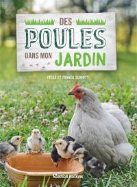 Des poules dans mon jardin : un rêve accessible si le tout est bien orchestré !