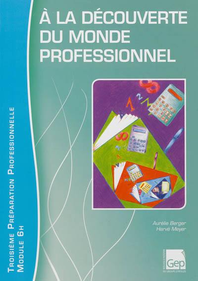 A la découverte du monde professionnel : Troisième préparation professionnelle, module 6 h