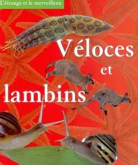 Véloces et lambins