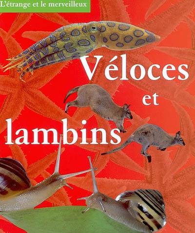 Véloces et lambins