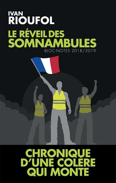 Le réveil des somnambules : bloc-notes 2018-2019 : chronique d'une colère qui monte