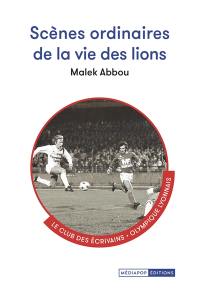 Scènes ordinaires de la vie des lions