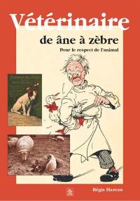 Vétérinaire : de âne à zèbre : pour le respect de l'animal