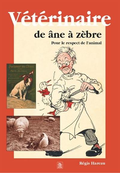 Vétérinaire : de âne à zèbre : pour le respect de l'animal