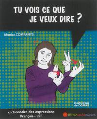 Tu vois ce que je veux dire ? : dictionnaire bilingue des expressions français-LSF