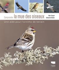 Comprendre la mue des oiseaux : une aide pour l'ornitho de terrain