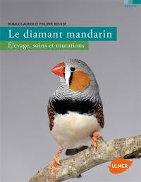 Le diamant mandarin : élevage, soins et mutations