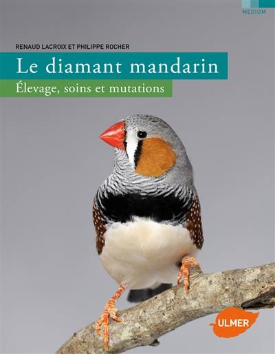 Le diamant mandarin : élevage, soins et mutations