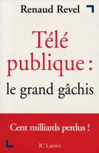 Télé publique : le grand gâchis