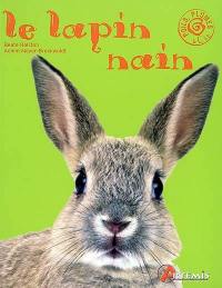 Le lapin nain