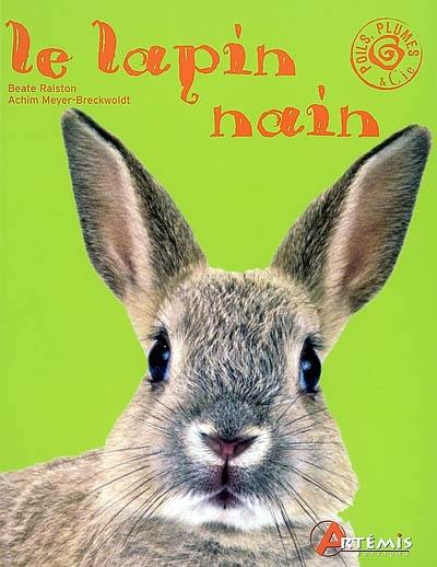 Le lapin nain