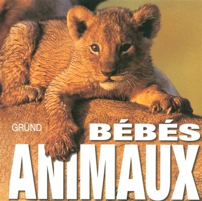 Les bébés animaux