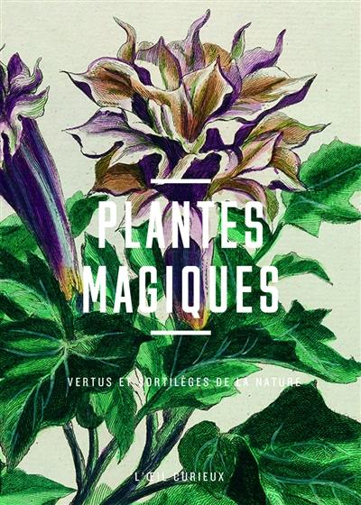 Plantes magiques : vertus et sortilèges de la nature